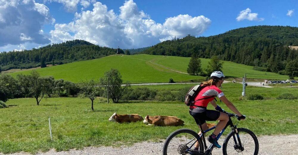 Penzion Zbojnicky Halas Tisovec Buitenkant foto