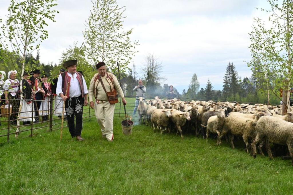 Penzion Zbojnicky Halas Tisovec Buitenkant foto